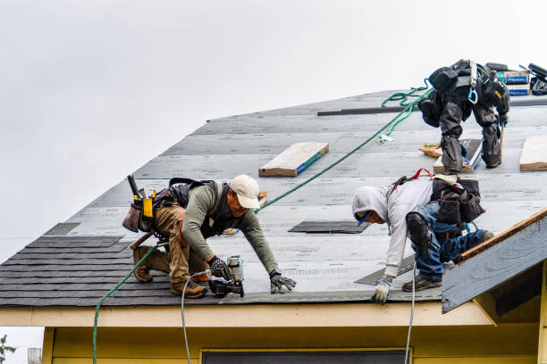 Professional Storm Damage Roof Repair technician working in Woodbine, MD